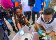 RIBUAN NARKOBA TANGKAPAN TNI AL DAN BNNP ACEH, HARI INI DIMUSNAHKAN