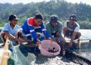 Pertamina Patra Niaga Ajak Masyarakat Wujudkan Aksi Nyata di Hari Konservasi Alam Nasional 2025