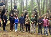 Pertamina Patra Niaga Dukung Konservasi Gajah Sumatera di Hari Gajah Sedunia 2025