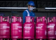 Pertamina Patra Niaga Dukung Konservasi Gajah Sumatera di Hari Gajah Sedunia 2025